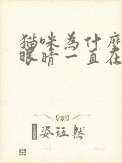 猫咪为什么有只眼睛一直在流眼泪