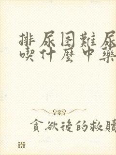 排尿困难尿不尽吃什么中药