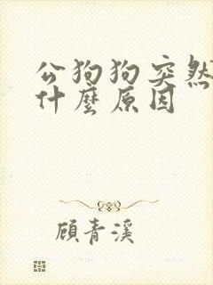 公狗狗突然乱尿什么原因