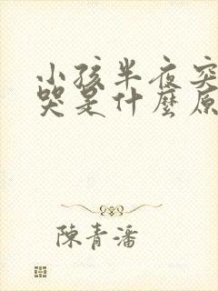 小孩半夜突然惊哭是什么原因