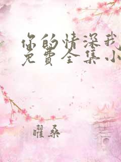 你的情深我不配免费全集小说