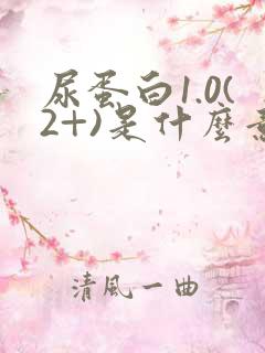 尿蛋白1.0(2+)是什么意思