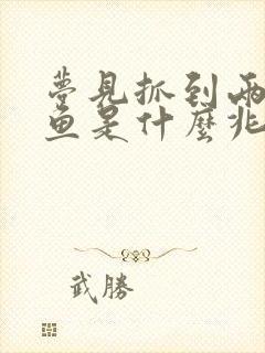 梦见抓到两条大鱼是什么兆头