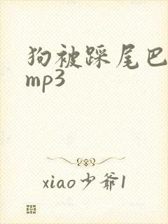 狗被踩尾巴叫声mp3