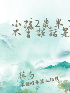 小孩2岁半了还不会说话是自闭症吗