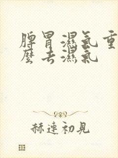 脾胃湿气重吃什么去湿气