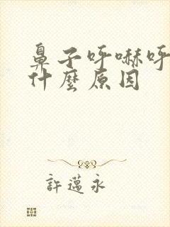 鼻子呼哧呼哧是什么原因