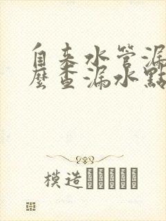 自来水管漏水怎么查漏水点收费价格多少