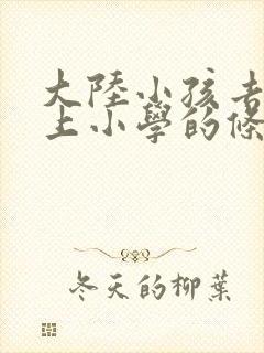 大陆小孩去香港上小学的条件