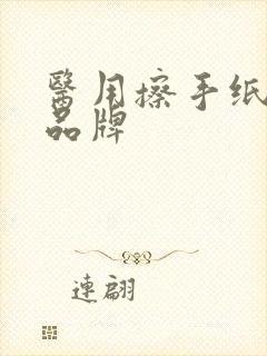 医用擦手纸十大品牌