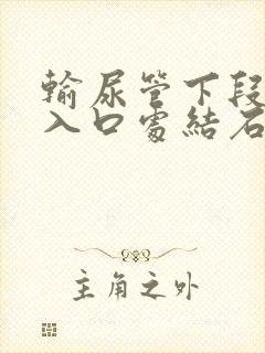 输尿管下段膀胱入口处结石好排吗