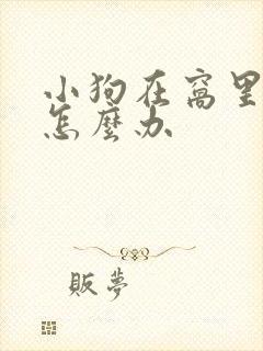 小狗在窝里撒尿怎么办