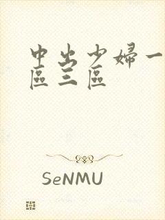 中出少妇一区二区三区