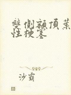 双侧额顶叶腔隙性梗塞