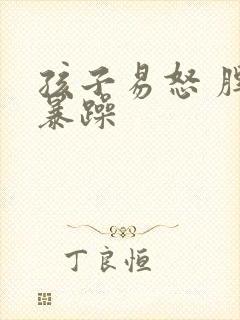 孩子易怒 脾气暴躁