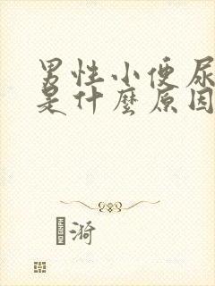 男性小便尿起泡是什么原因