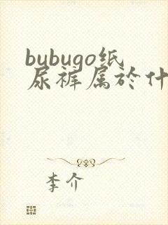 bubugo纸尿裤属于什么档次