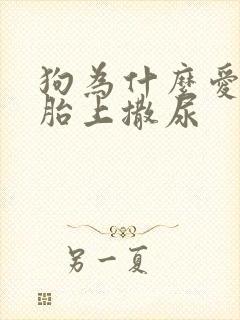 狗为什么爱在轮胎上撒尿