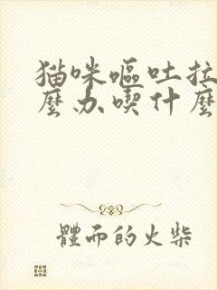 猫咪呕吐拉稀怎么办吃什么药