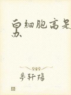 白细胞高是怎么办