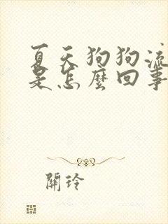 夏天狗狗流鼻涕是怎么回事