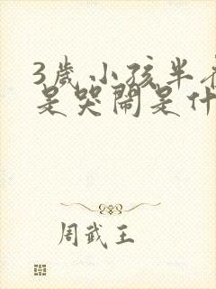 3岁小孩半夜总是哭闹是什么原因