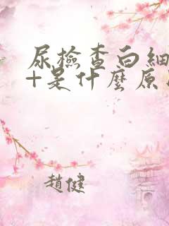 尿检查白细胞3+是什么原因