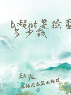 b超nt是检查多少钱