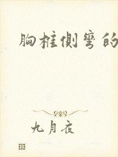 胸椎侧弯的支具