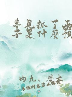 梦见抓了两只兔子是什么预兆