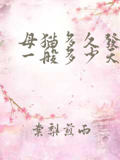 母猫多久发情期一般多少天结束