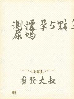 测怀孕5点算晨尿吗