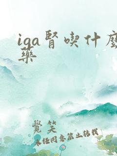 iga肾吃什么药