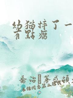 幼猫摔了一下腿有点瘸