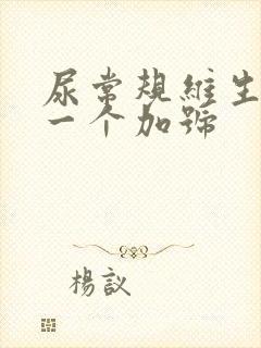 尿常规维生素c一个加号