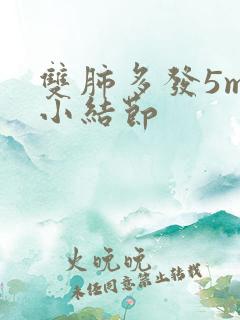 双肺多发5mm小结节