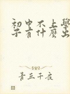 初中不上学的孩子有什么出路