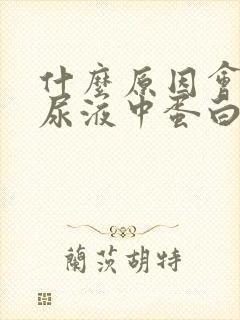 什么原因会引起尿液中蛋白质升高