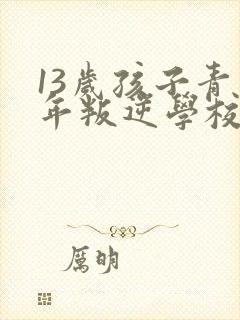 13岁孩子青少年叛逆学校