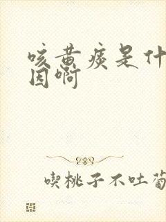 咳黄痰是什么原因啊