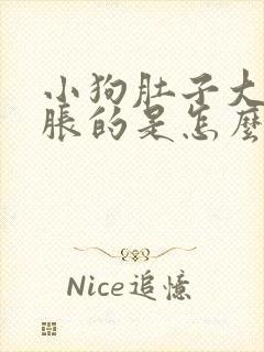 小狗肚子大大胀胀的是怎么了