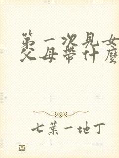 第一次见女朋友父母带什么礼物