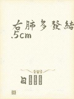 右肺多发结节0.5cm