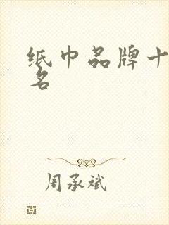 纸巾品牌十大排名