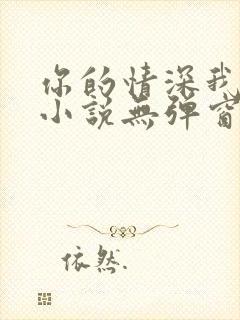 你的情深我不配小说无弹窗