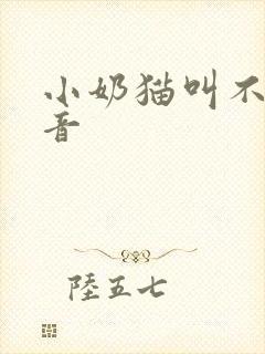 小奶猫叫不出声音