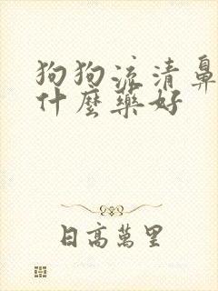 狗狗流清鼻涕吃什么药好