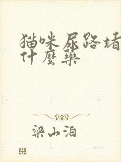 猫咪尿路堵塞吃什么药