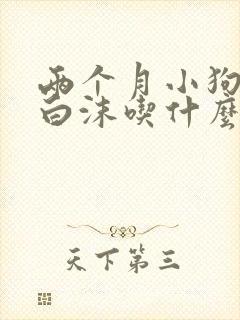 两个月小狗狗吐白沫吃什么药