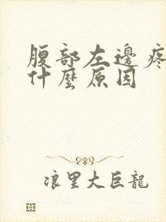 腹部左边疼痛是什么原因